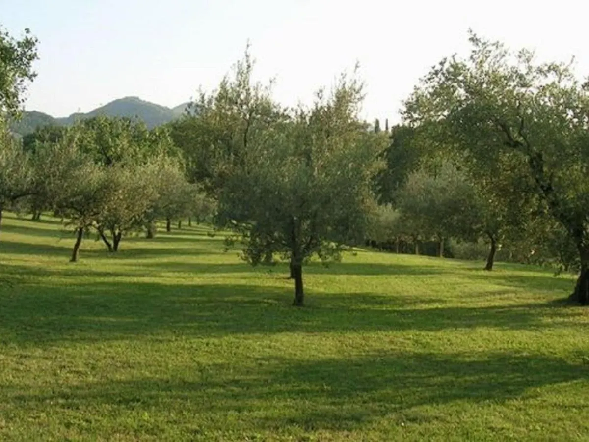 Belvilla By Oyo Ovello Brisighella